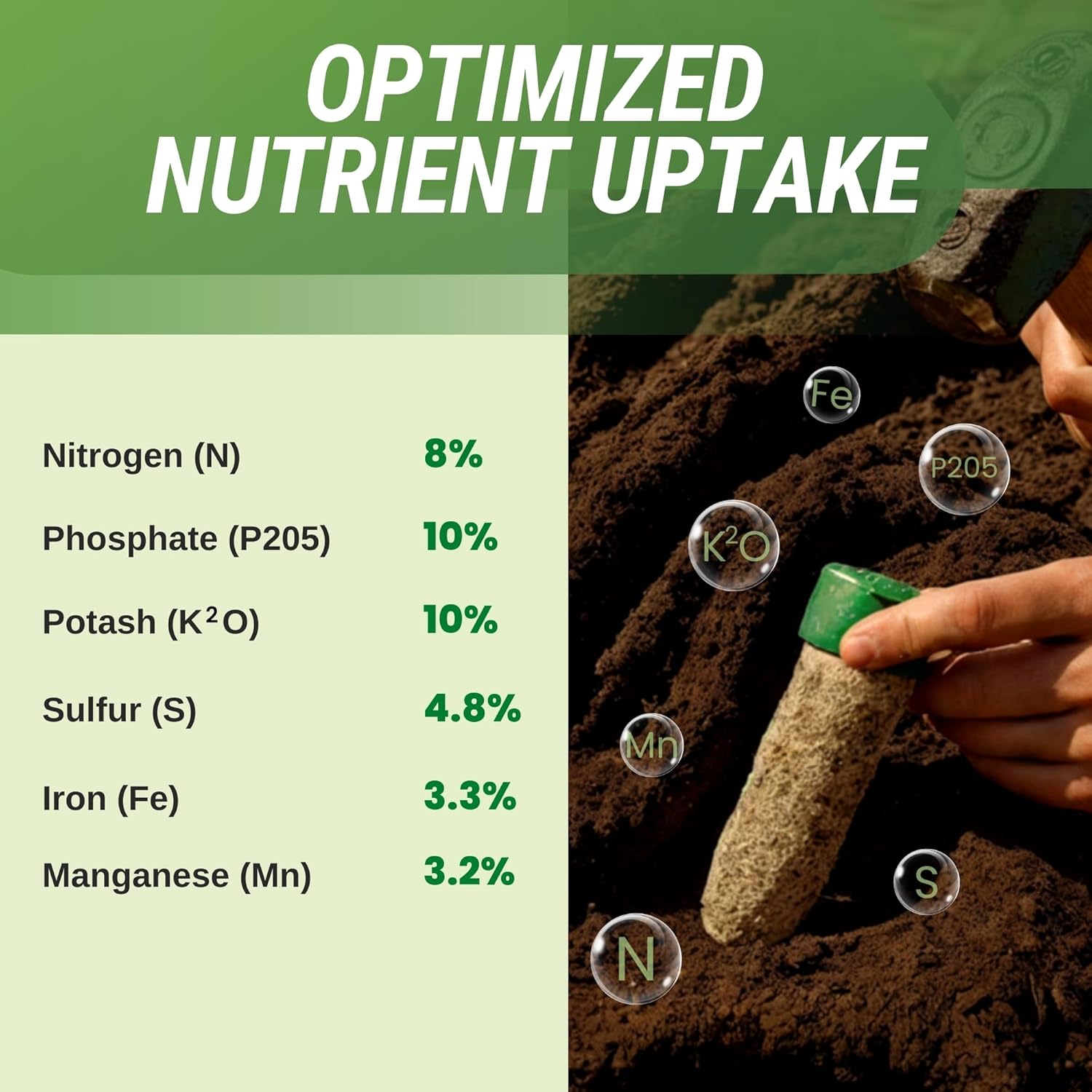 Perfect Spike – Lutz Corporation