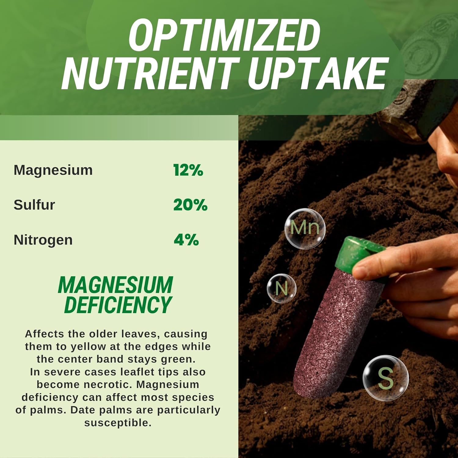 magnesium plant fertilizer Magnesium Spike – Lutz Corporation