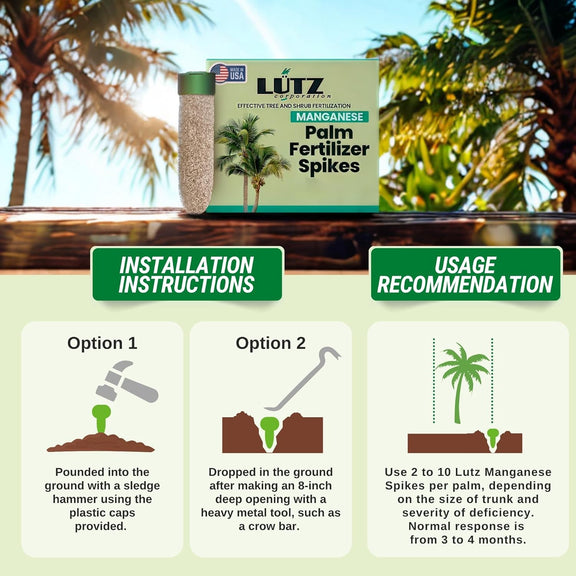 fertilizer for coconut palms Manganese Spike – Lutz Corporation
