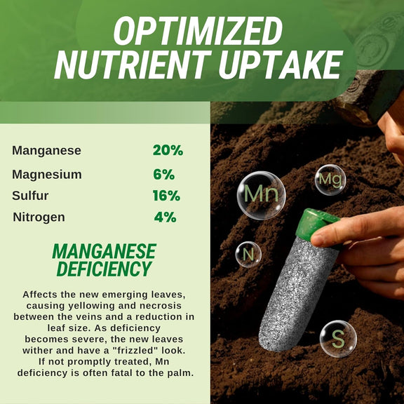 manganese fertilizer for plants Manganese Spike