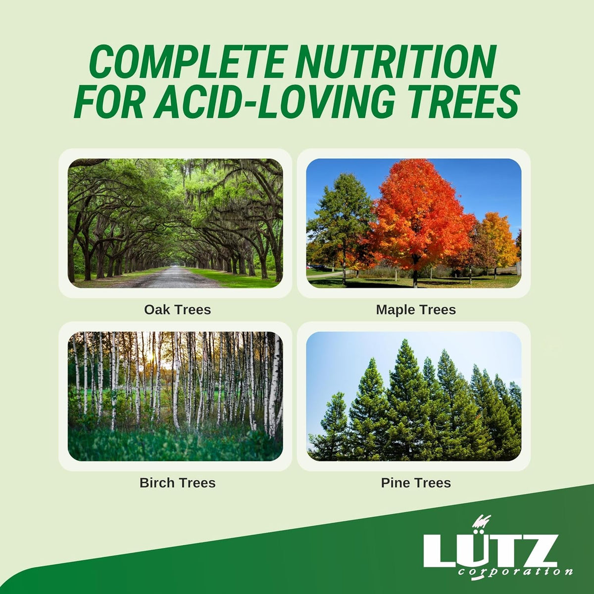 Iron Chlorosis Spike