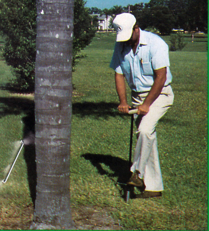 Image with text section