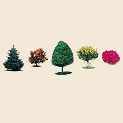 Image with text section