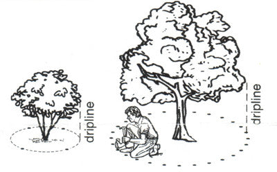 Image with text section