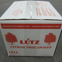 Citrus Spike Box