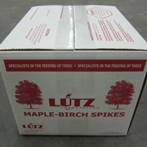 Maple Birch Spike Box